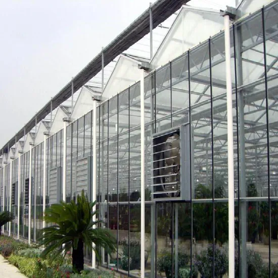Serre à film plastique série Xinhe pour maison de jardin
